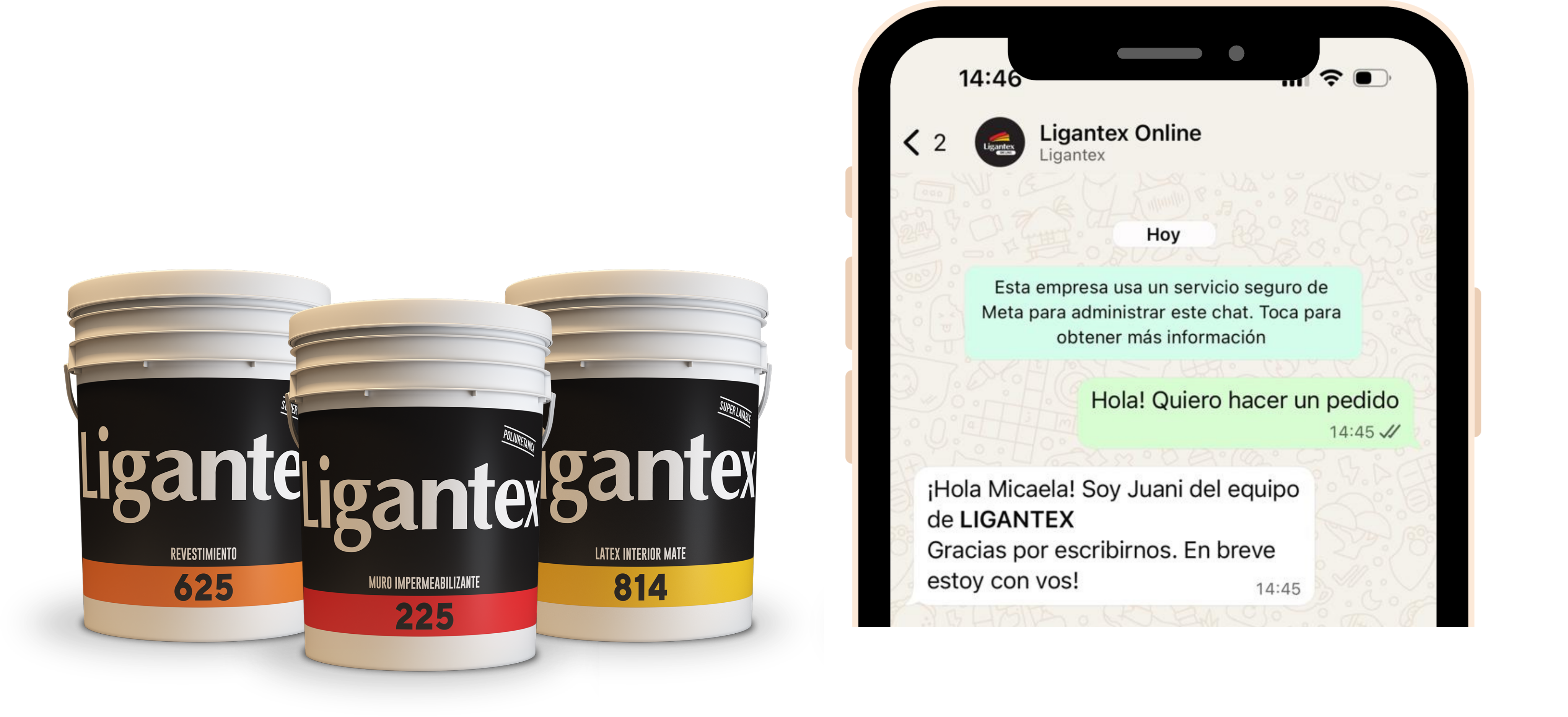 Catálogo de productos Ligantex y conversación de WhatsApp